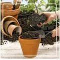 Potting Soils and supplies