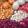 Onions/Seed Potatoes/Garlic/Rhubarb/Asparagus