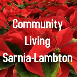 Community Living Sarnia-Lambton  6'' Red Poinsettia    