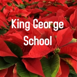 King George School 6'' Red Poinsettia      