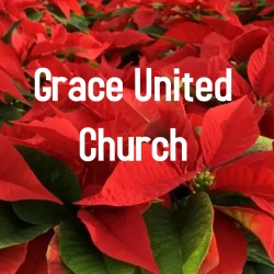 Pre-Order Starts Nov 1 $15.99 each, buy 3 or more $14.99 each-  6'' Red Poinsettia     ( Copy )