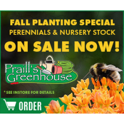 Fall Planting Special