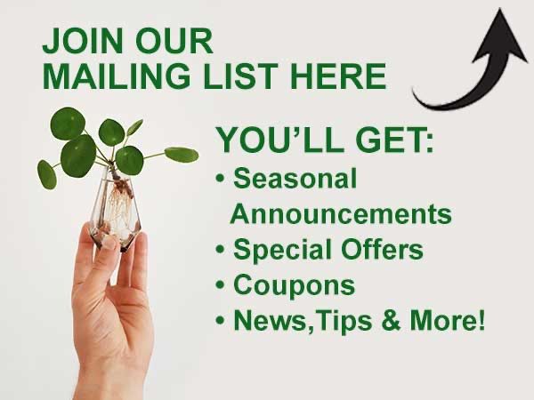 Join Our Mailing List